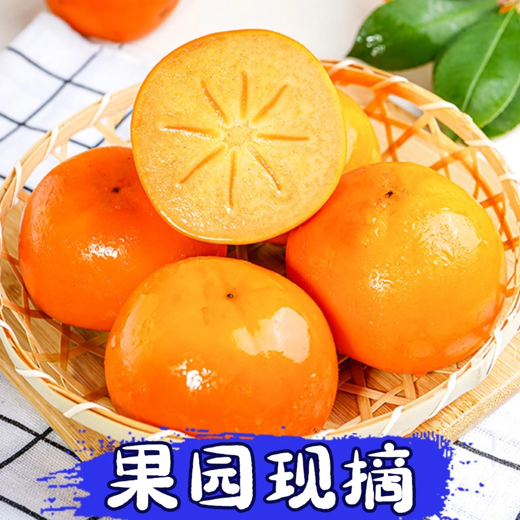 【削皮即食】巧克力脆柿子新鲜当季水果清甜脆口3斤sss