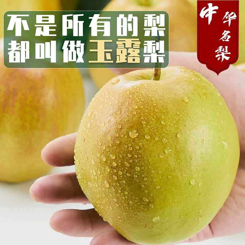 【猗始】山西玉露香梨脆甜皮薄水果当季雪梨新鲜酥梨子5斤sss