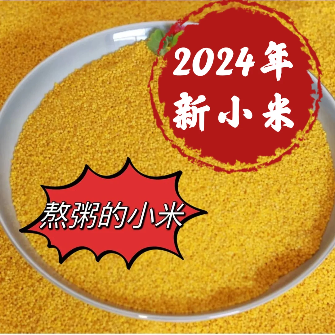 【陕北晓儿】陕北小米 油小米 农家米 2024年新米免淘洗 包邮
