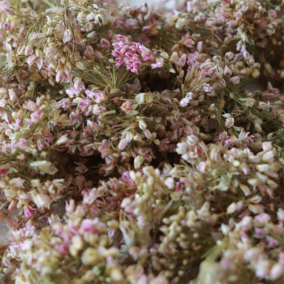 【陕北晓儿】陕北野生泽蒙花 干泽蒙花 20克包邮