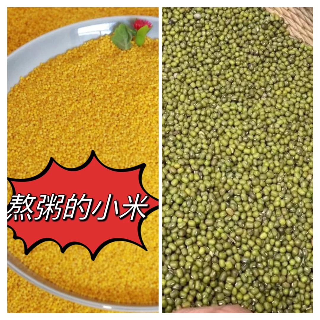 【陕北晓儿】陕北小米 2斤米脂油小米 +2斤陕北绿豆组合装