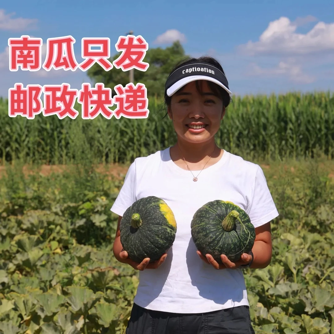 【陕北晓儿】窑背小粮 板栗南瓜 陕北沙地南瓜5斤-10斤包邮