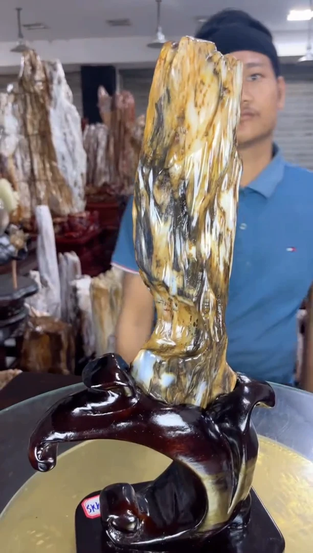 【闪购商品】硅化玉珠宝奇石未镶嵌缅甸天然树化玉