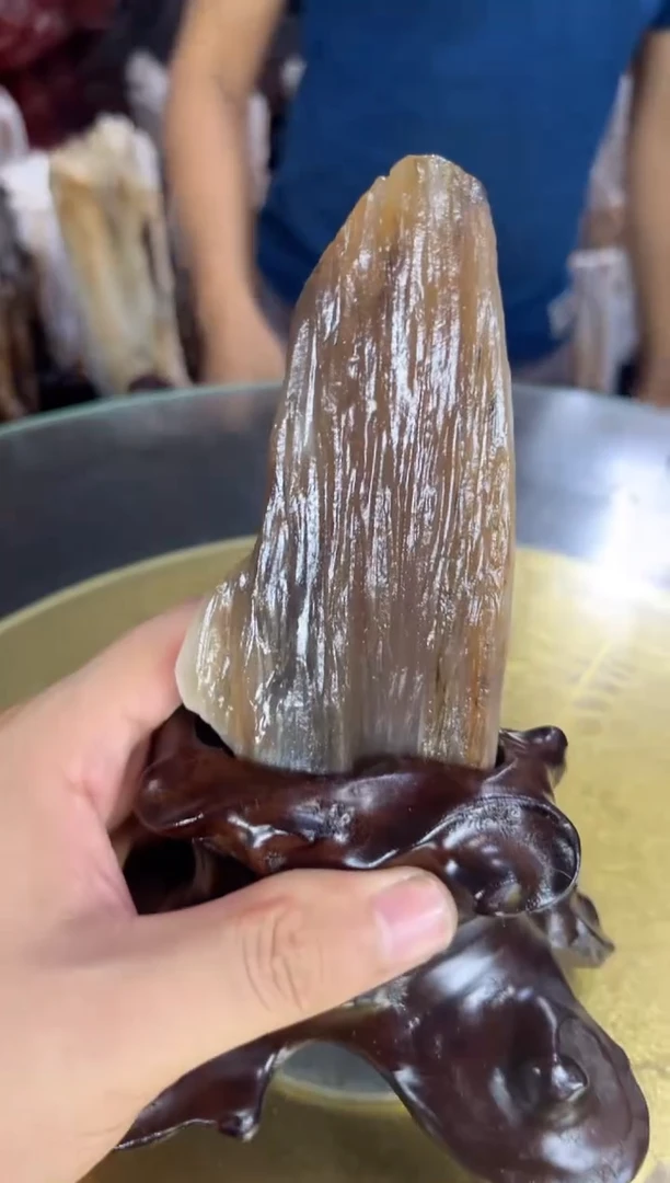 【闪购商品】硅化玉珠宝奇石未镶嵌缅甸天然树化玉