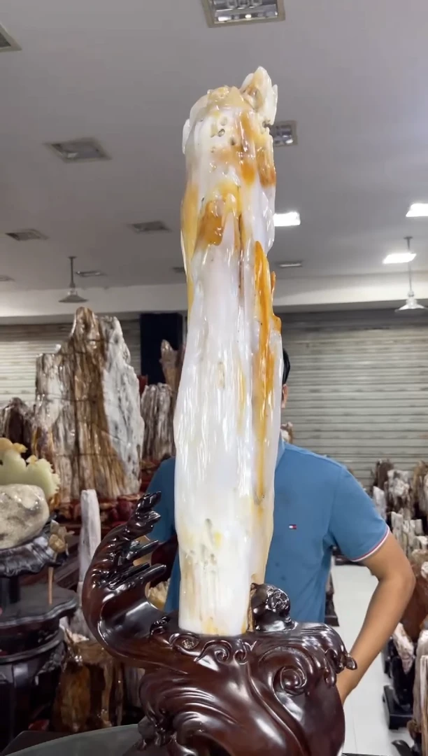 【闪购商品】硅化玉珠宝奇石未镶嵌缅甸天然树化玉