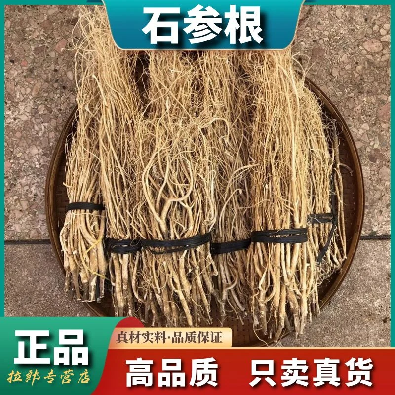 新货精选石参根新鲜无硫虎尾轮白石参黄瓜参煲汤料石参根葛煲汤料