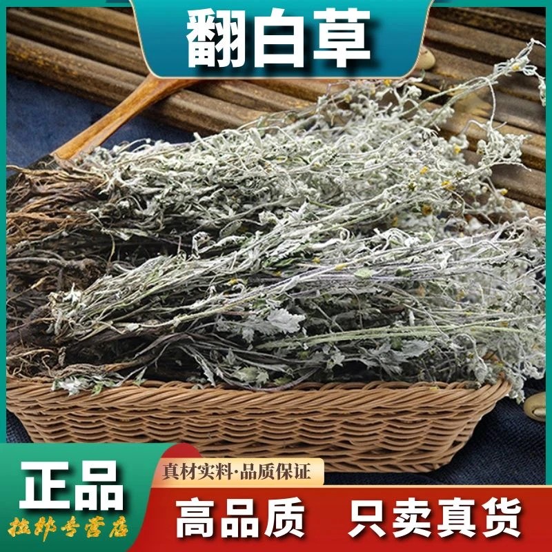 【翻白草】500g野生整颗带根翻白草250g泛白草干货党参黄芪滋补泡茶