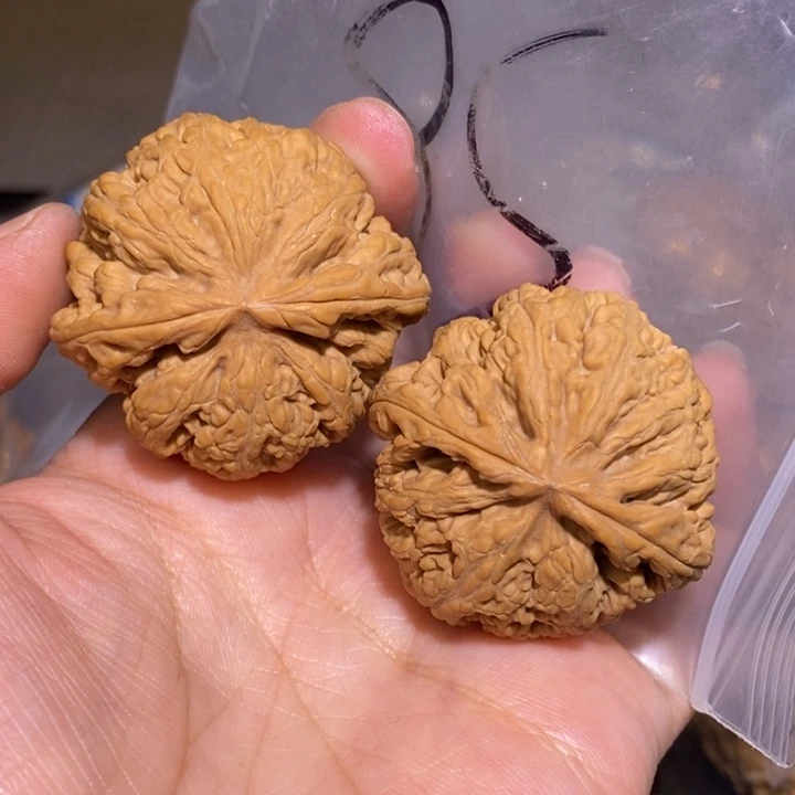 文玩核桃把件娥**痛粗筋