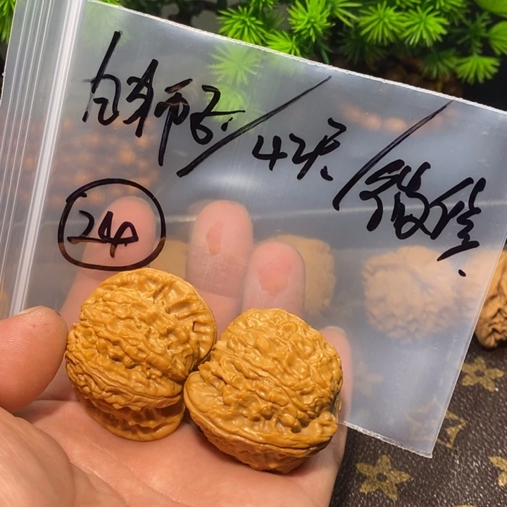 文玩核桃把件白狮子24