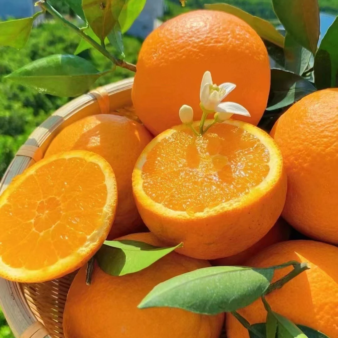 【散装】【Z】【好吃的黑标美橙】（份/3斤左右）仅限太原榆次可拍