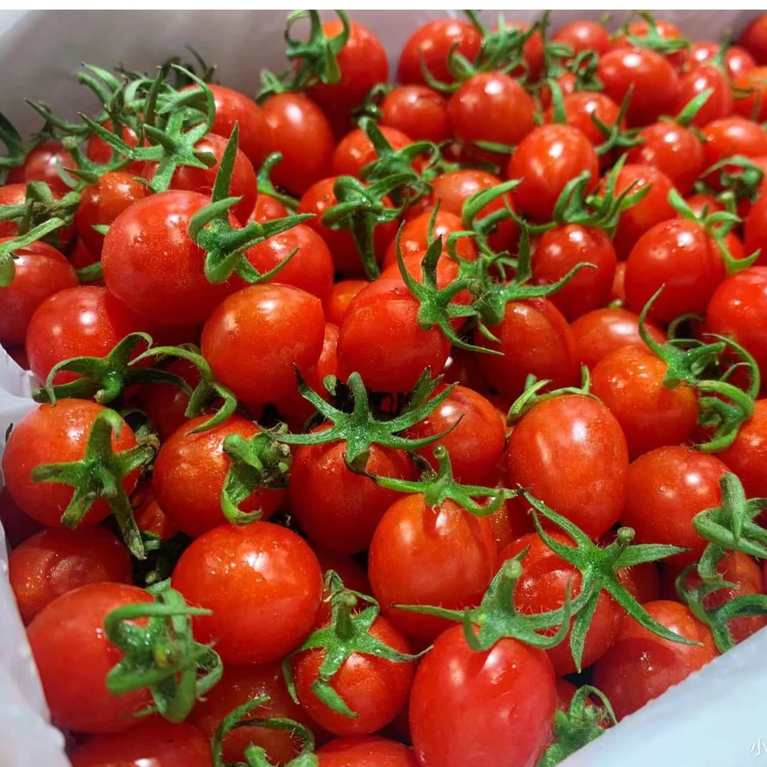 【箱】【新到好吃千禧果】【箱/带箱2.5斤左右】仅限太原六城区榆次可拍