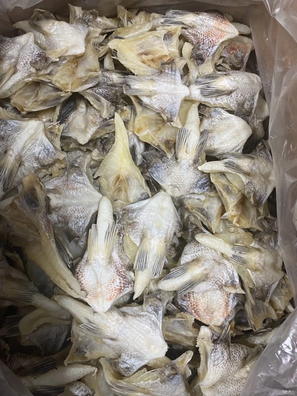 汕尾本地鲷鱼下巴