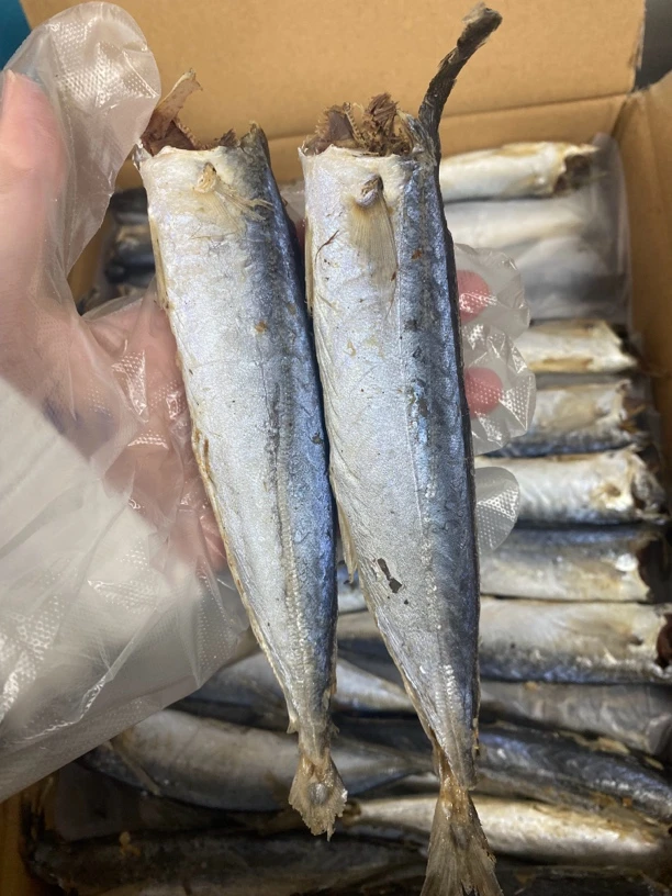 【四妹专线】巴浪鱼干 熟鱼干