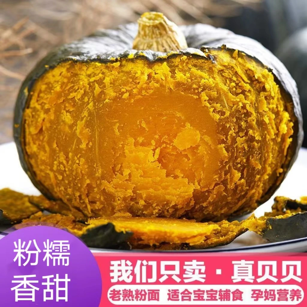 正宗贝贝南瓜粉糯香甜粗粮板栗味宝宝辅食产地直供4.6-5坏果包赔