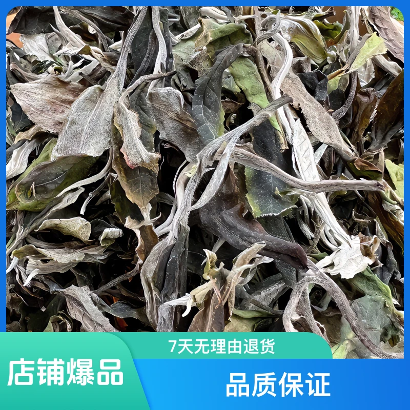 凤山古茶园古树白茶