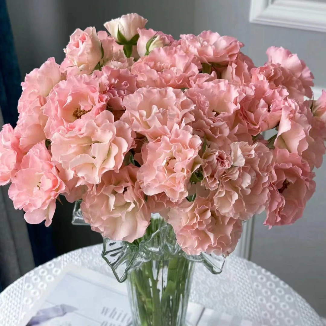 【花钰程】人鱼公主多头玫瑰任意2单或2单以上包邮发货基地花