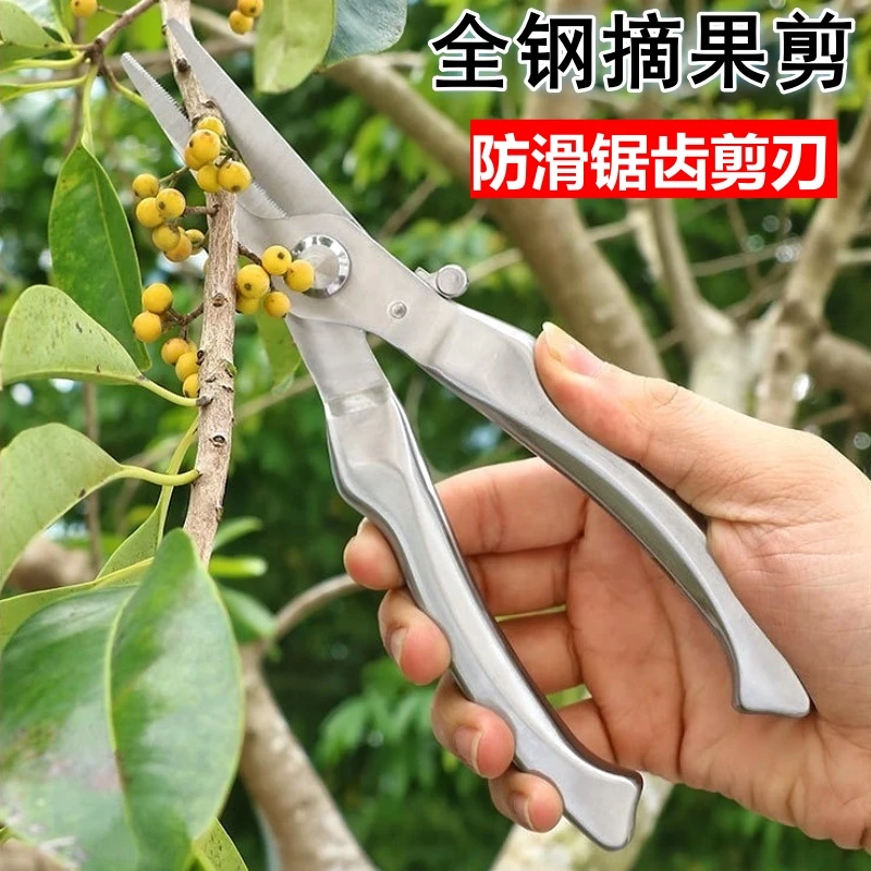 摘果剪子全钢花艺剪修花剪枝修剪树枝果树盆景花卉园艺摘果专用