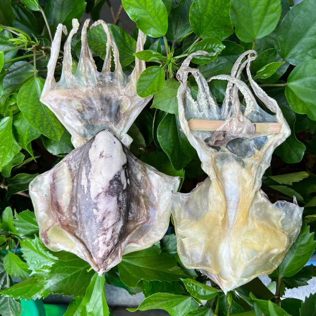 【永隆海味】本港串墨鱼干250g 产妇宝宝煲汤滋补 广东天然海鲜干货