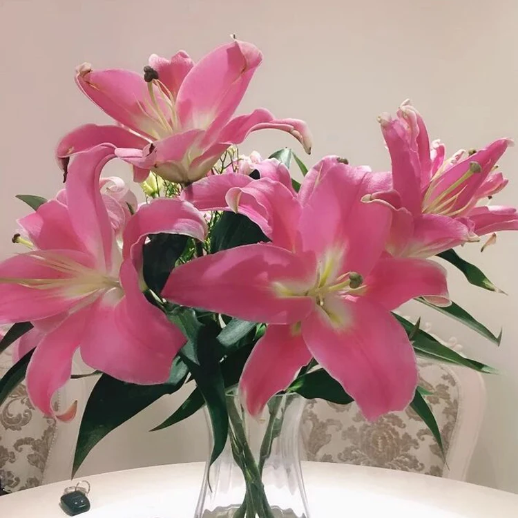 桃红百合鲜花花束云南昆明基地直发速递同城家用水养插花真花配送