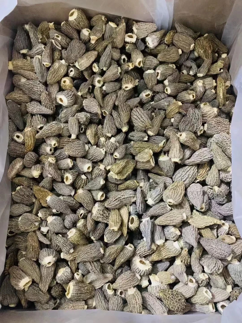 浓香型盆栽羊肚菌煲汤好喝干货250g 煲汤食材