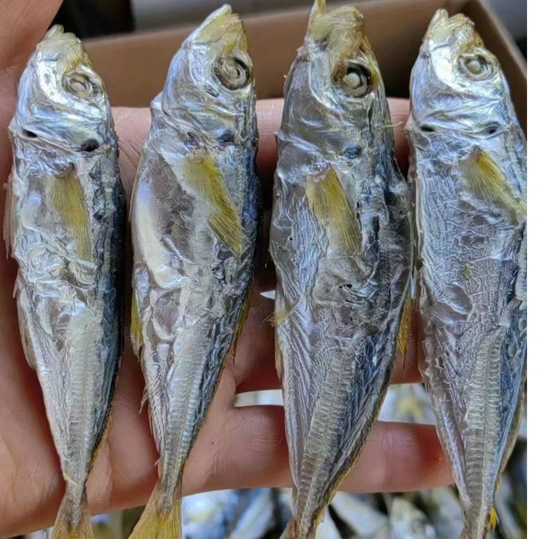 娟姐黄尾巴浪鱼淡干鲜甜，一包500克炸油配稀饭。