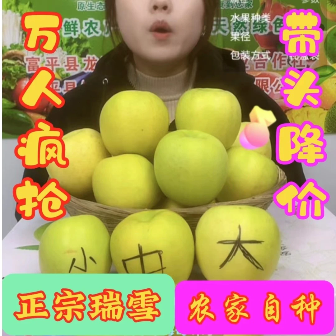 低价正宗陕西瑞雪苹果纯甜不酸新鲜多汁高捡大果特卖整箱批发脆甜