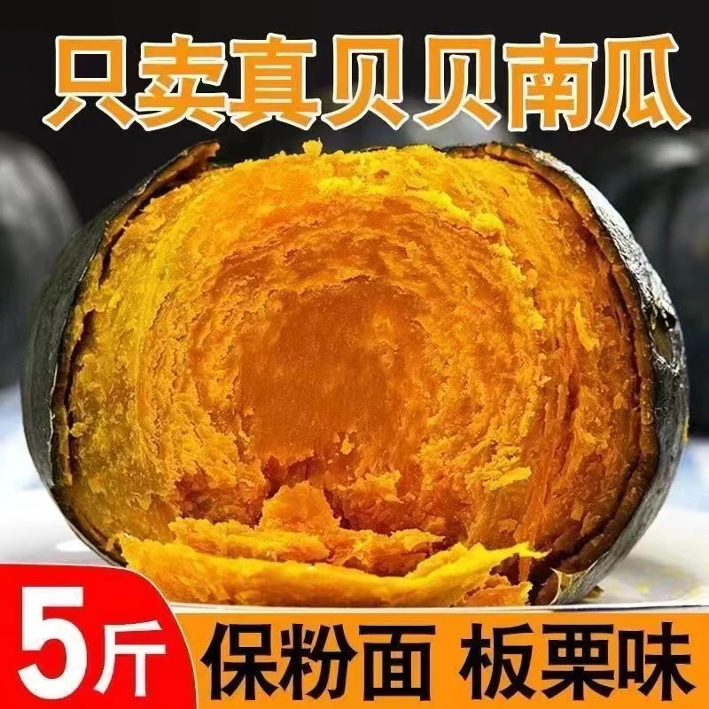 正宗贝贝南瓜粉糯香甜板栗口感小南瓜整箱婴儿孕妇新鲜宝宝辅食