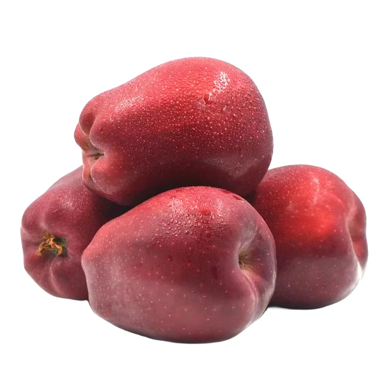 【农夫果园】蛇果500克