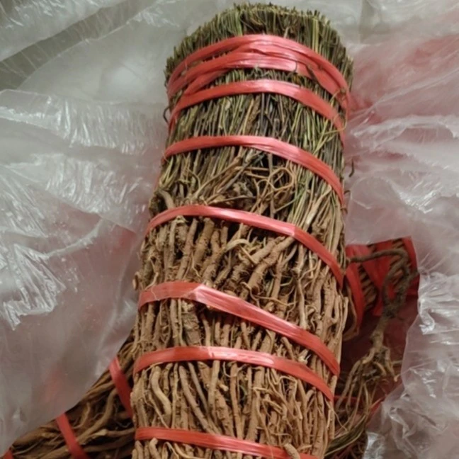 小号一条根 泉州青草一条根 野生一条根 一份500克