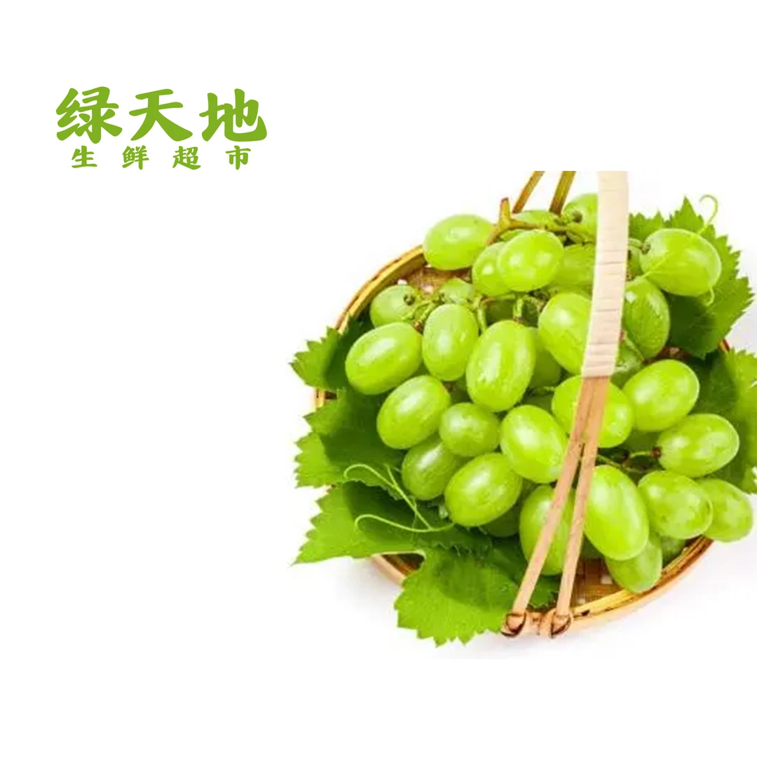 【水果】维多利亚葡萄（清甜）  /斤葡萄同城送辽宁省