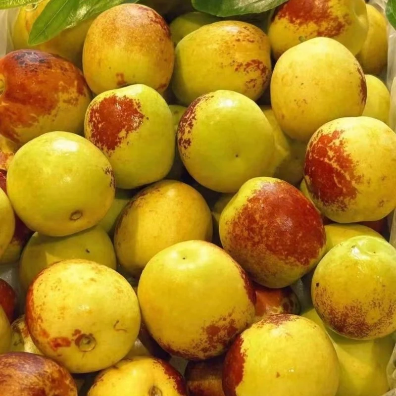 【水果】冬枣（小果）/斤