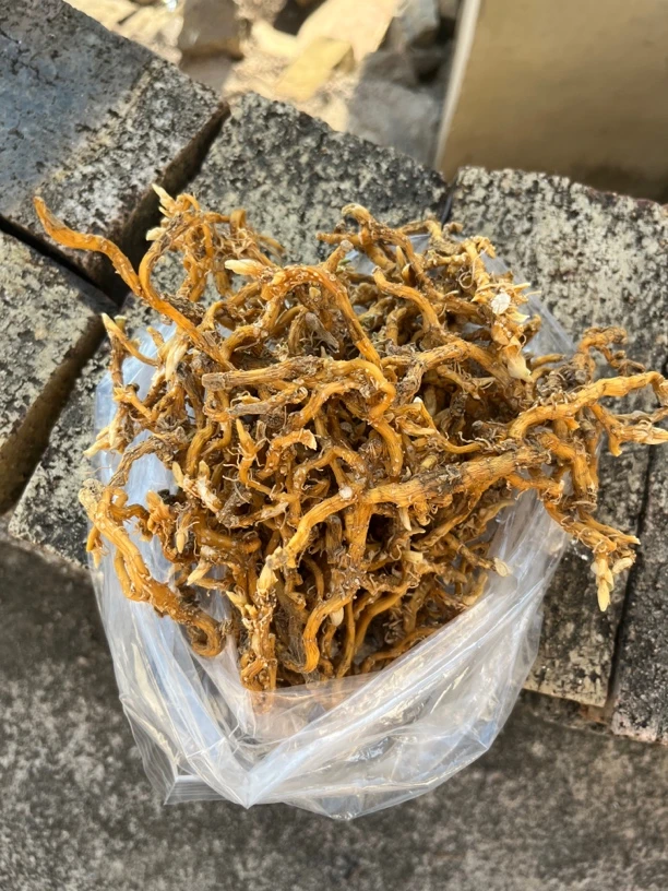 贵州纯野生玉竹鲜货500g包邮