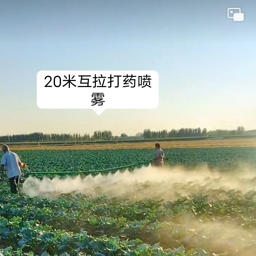 两人互拉高压加厚多喷头 盘管打药机.柱塞 泵等专用,10米/20米-梨