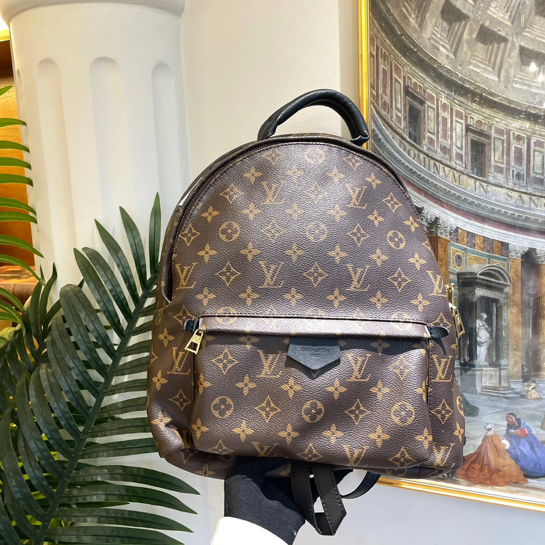 95新 LouisVuitton/路易威登 御古屋/11217/中号双肩包 16年