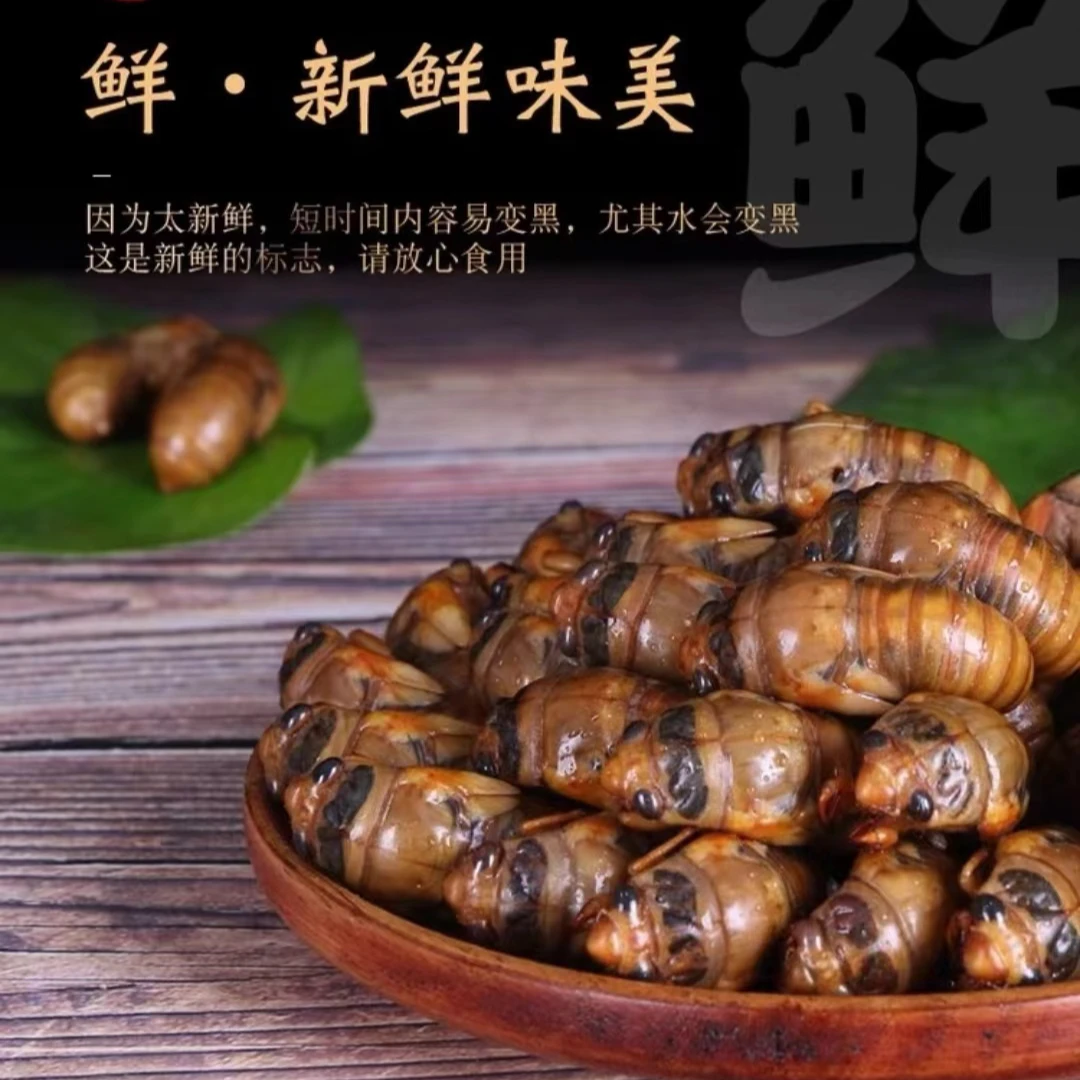 【顺丰包邮】2024年新鲜活体速冻金蝉爬叉知了猴烧烤煎炸高蛋白美食