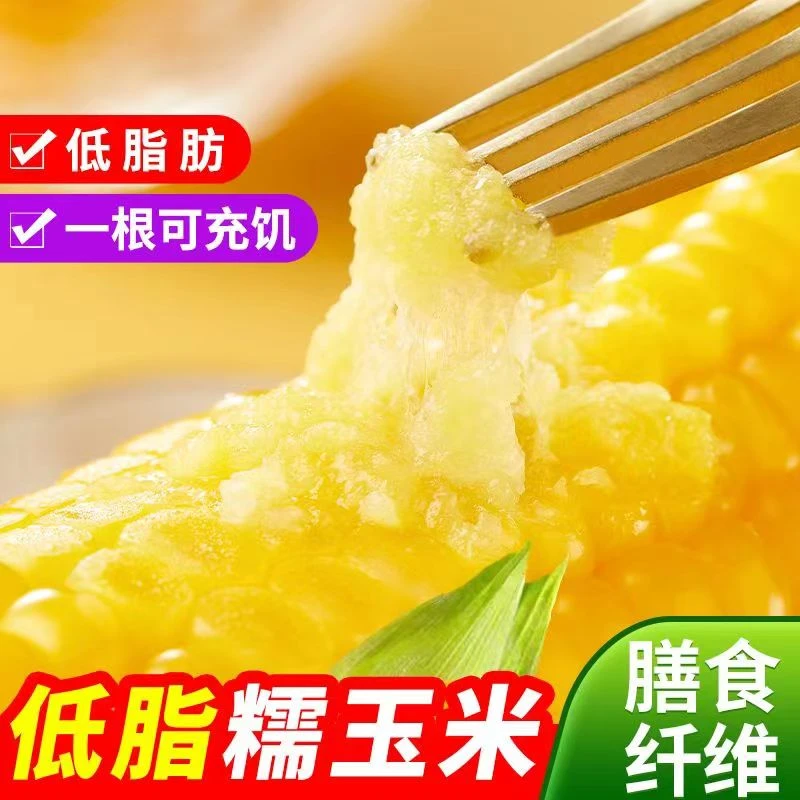 东北头茬黑糯黄糯玉米真空包装三分甜七分糯体重管理者必备花青素