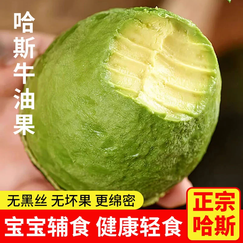 阿宝德【全国包邮】丝滑绵密云南哈斯牛油果新鲜水果宝宝辅食鲜果装