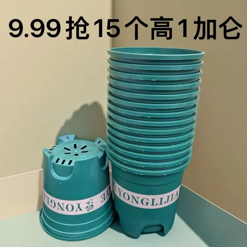 15个《口径15.3高15左右》高款1加仑花盆长寿花海棠花花盆