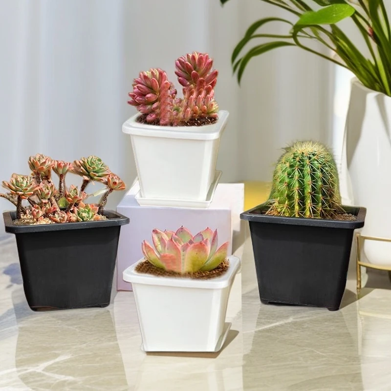 方形14号育苗多肉盆10个《直径13.3高10.8》