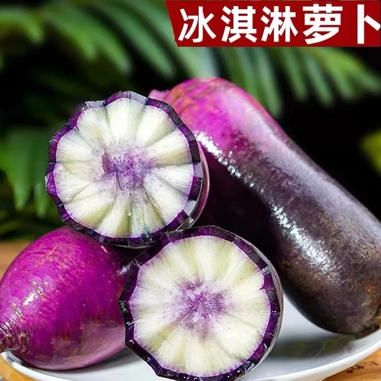 【优选】山东产地直发 冰淇淋萝卜绿色脆甜多汁水果萝卜净重4.5斤