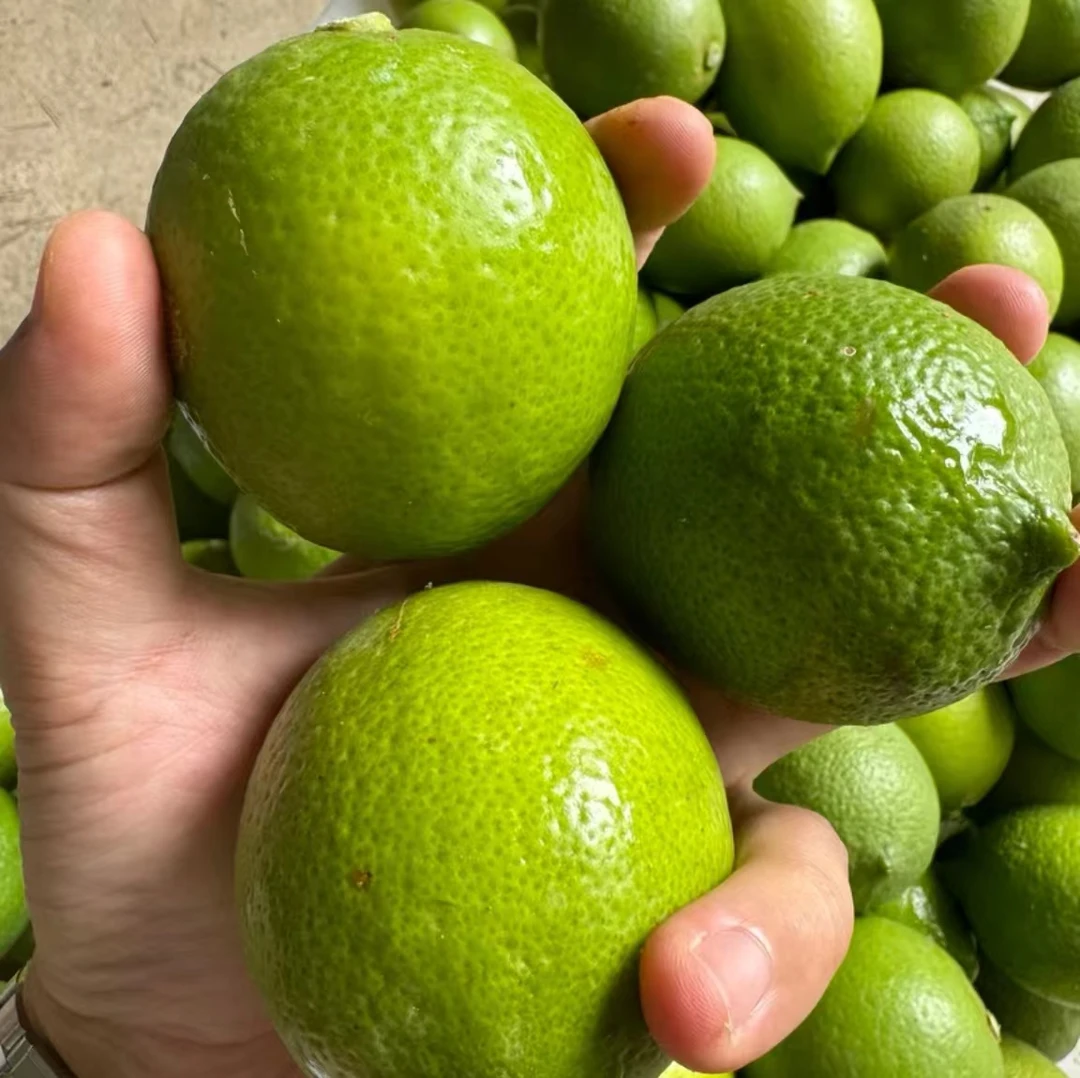 山货特产干货【柠檬】乡间集市推荐