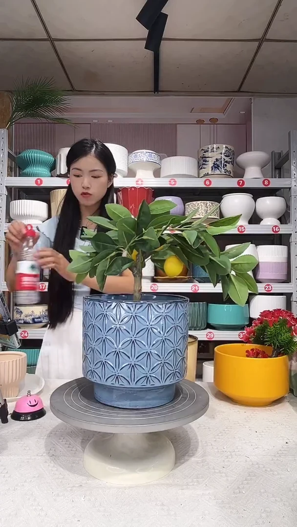 【闪购商品】陶瓷20CM以下高温陶瓷花盆-蓝雪20*18