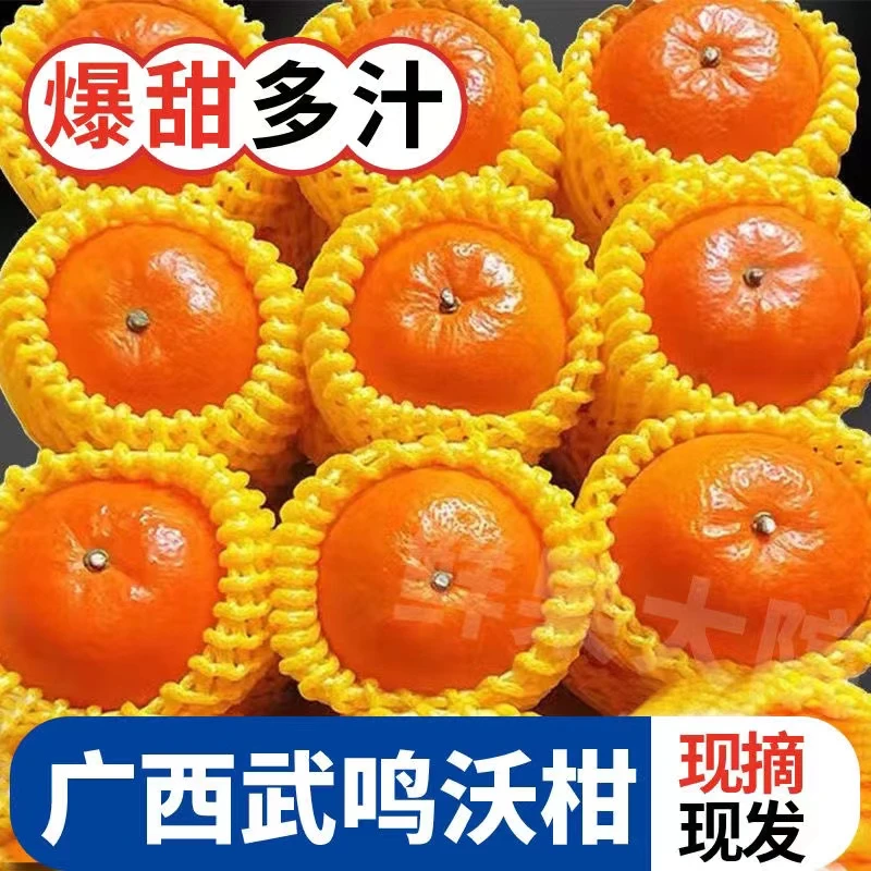 正宗广西沃柑新鲜橘子多汁皮薄成熟新采摘鲜水果应季甜蜜5/9/包邮