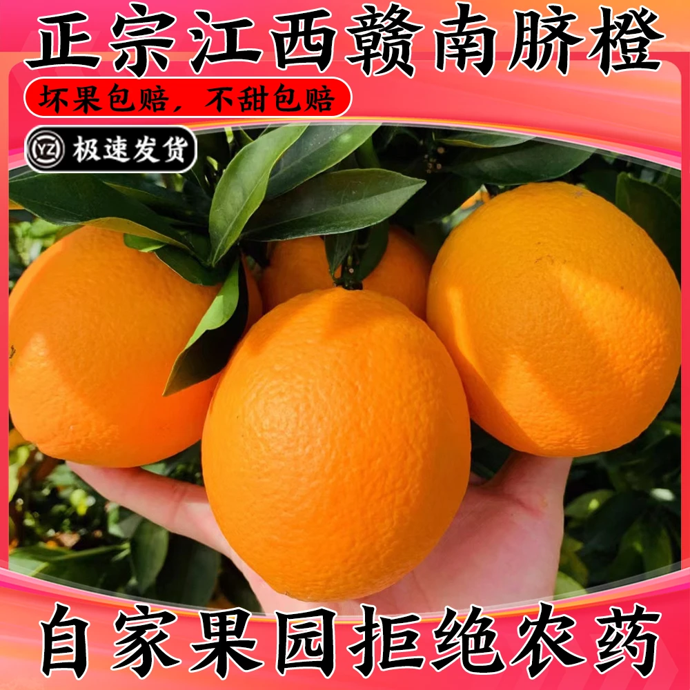 【正宗江西赣南脐橙】带彩箱果园现摘产地直发孕妇老人水果非血橙