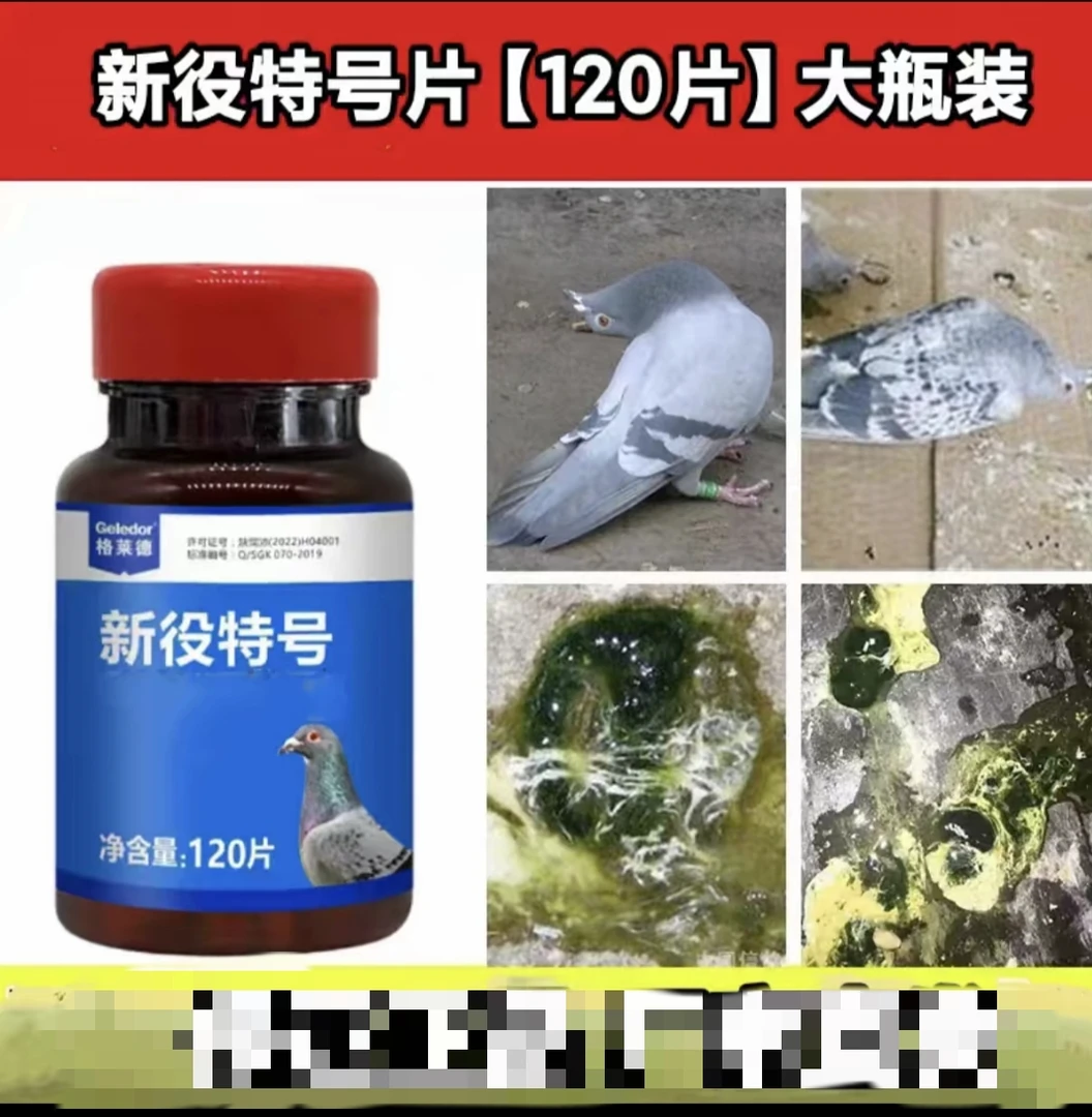 格莱德新役特号赛鸽观赏鸽用品