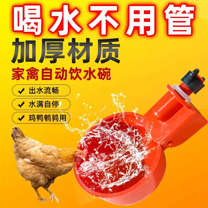 家禽自动饮水器鸽子养鸡专用水壶新款鸭子鹅喂鸡自动饮水器饮水碗