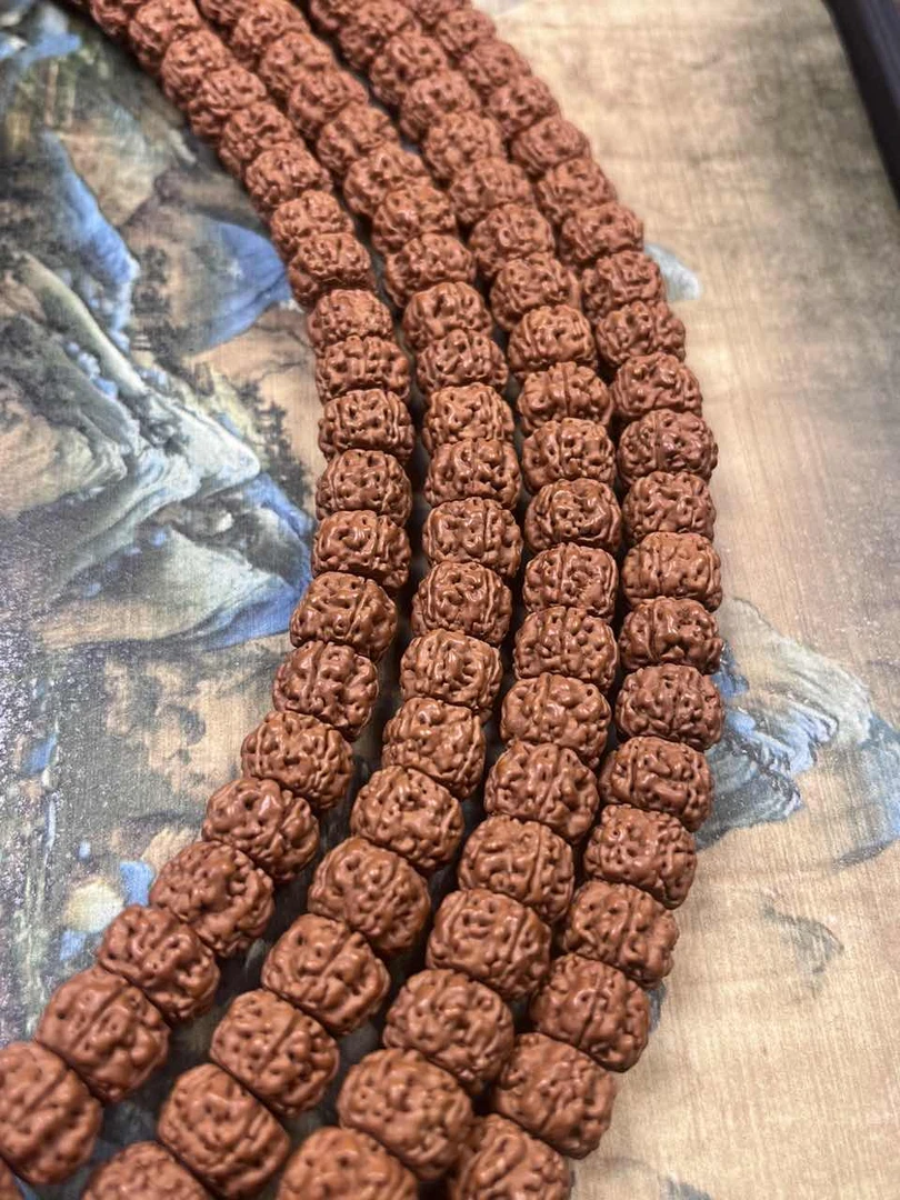 289红皮一级盘龙王