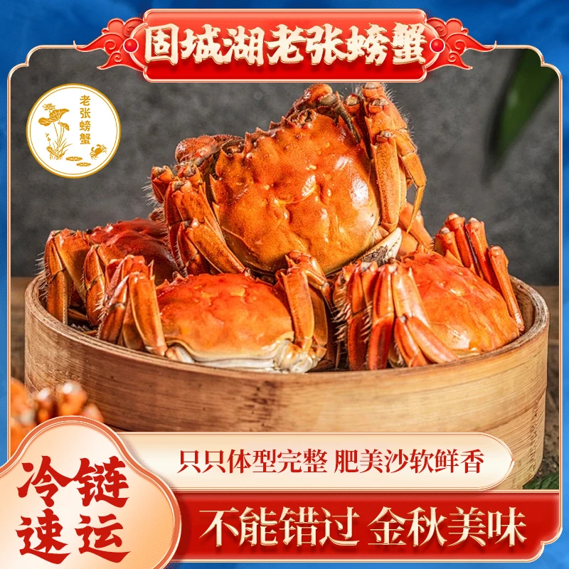 【活蟹】南京固城湖螃蟹2两母蟹8只