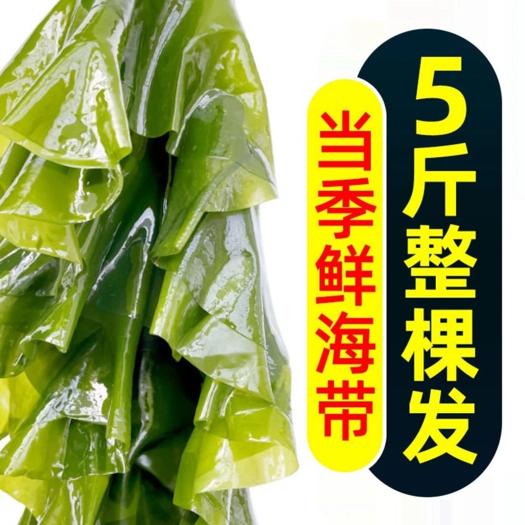 5斤装正宗霞浦盐鲜海带海带根厚片非野生新鲜海藻昆布非干货海带