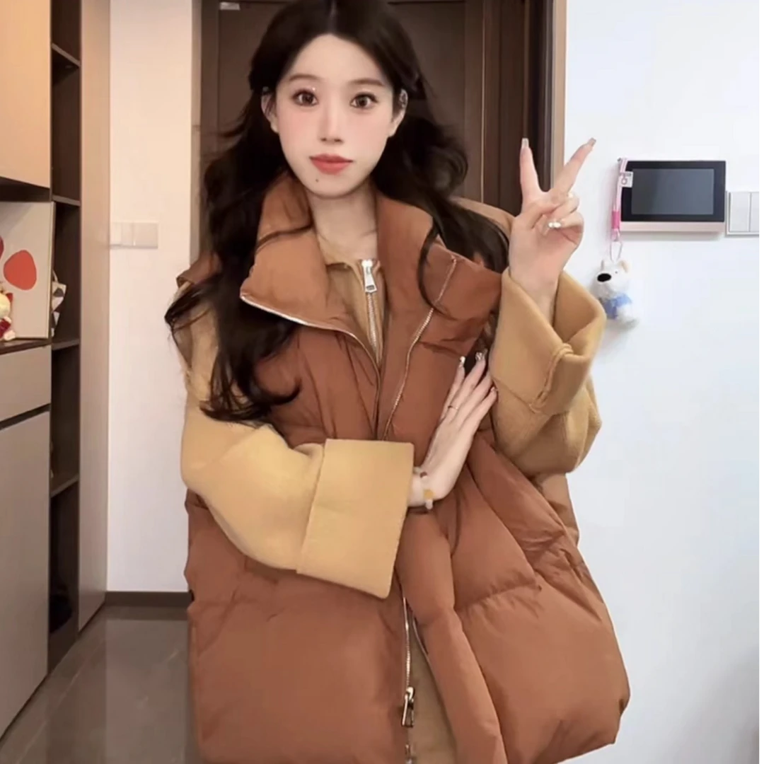 羽绒马甲女2025新款白鸭绒四层锁绒宽松简约百搭立领坎肩外套秋冬